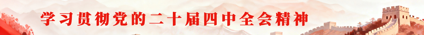 学习贯彻党的二十届四中全会精神