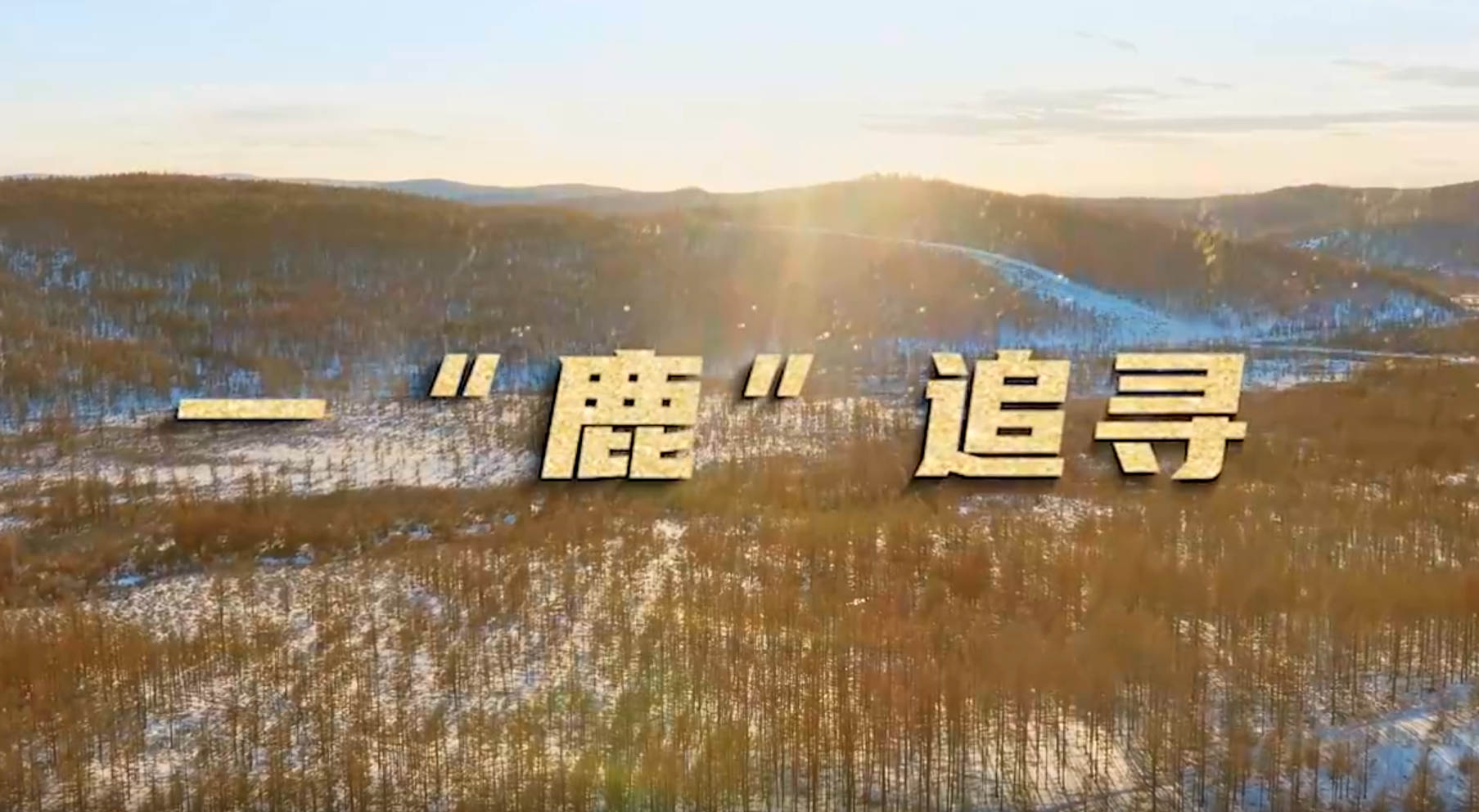 一“鹿”追寻